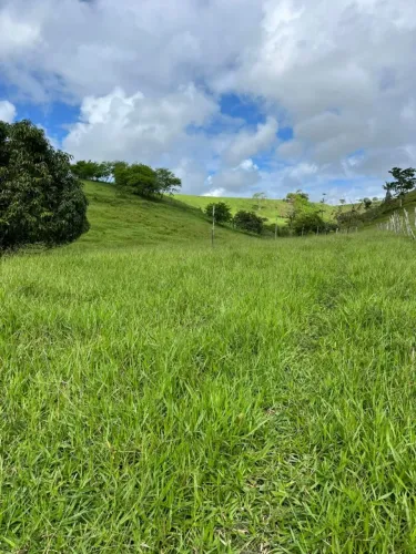 Sítio para Venda em Flexeiras, Zona Rural, 3 dormitórios, 1 banheiro, 1 vaga