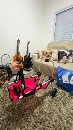 Cadeira de rodas cachorro tamanho G