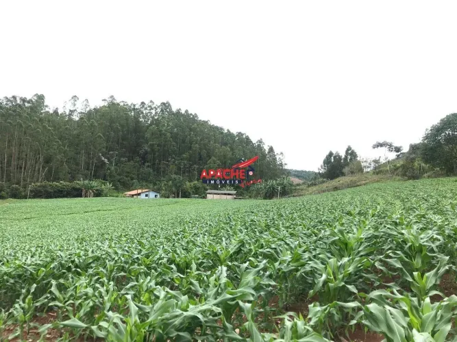Sitio para venda na Área rural de Paula Cândido MG