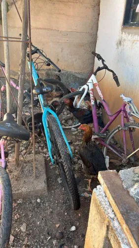 Bicicleta