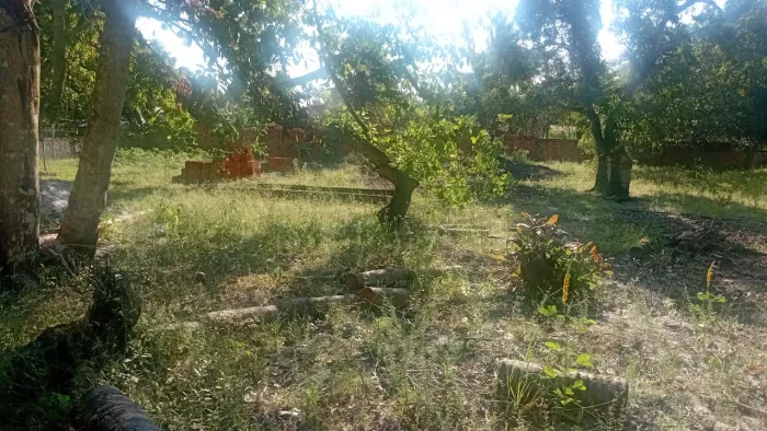 Terrenos