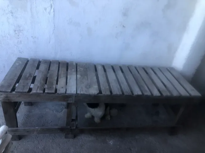 Cadeira de bronze