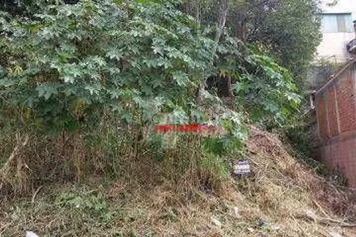 Terreno à venda, 298 m² por R$ 330.000,00 - Jardim São Vicente - Cotia/SP
