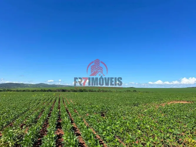FAZENDA EM IPAMERI - GOIÁS