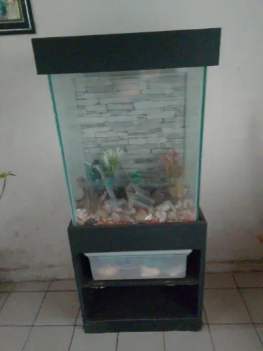 Aquário Completo 