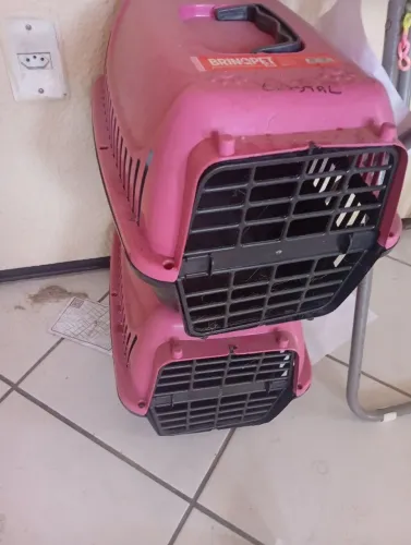 2 transportadora de gatos, por 50,00