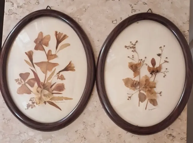 QUADROS OVAIS FLORES SECAS PEÇAS ASSINADAS ANTIGUIDADES PEÇAS ÚNICAS.