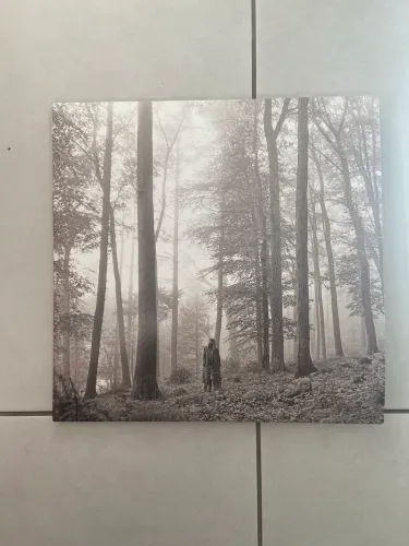 Vinil folklore - taylor swift