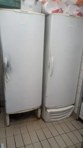 Freezer vertical