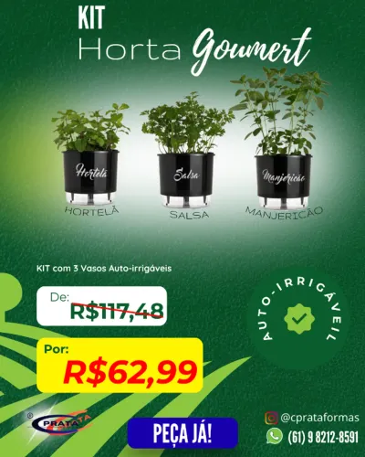 kit horta gourmet