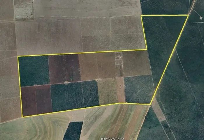 Fazenda dupla aptidão 250ha