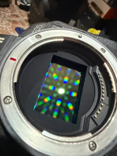 Canon R