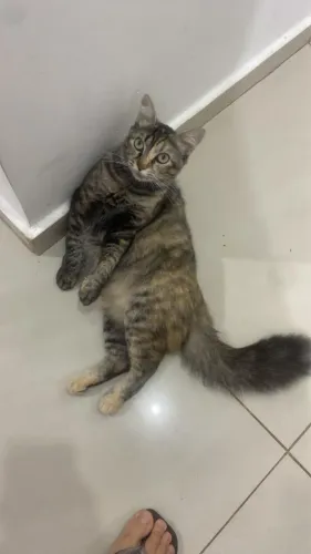 Doação