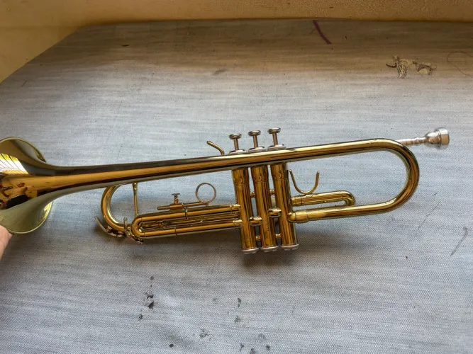 Trompete Júpiter 308