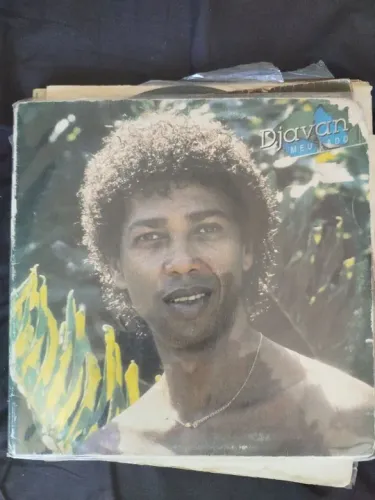 Disco de Vinil Djavan - Meu lado mais 10 discos diversos 