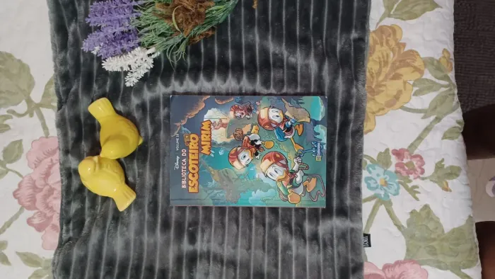 Biblioteca do Escoteiro Mirim - Volume 10
