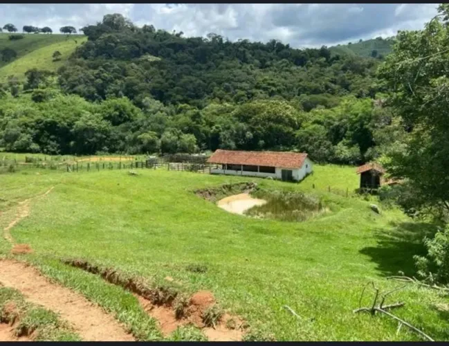 Maravilhoso sitio com 20 alqueires de Dupla aptidão, Rica em Água.