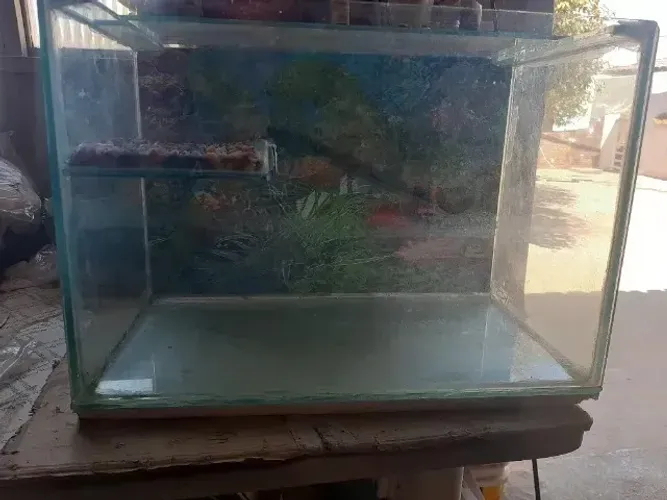 Aquário para tartaruga 50 Litros