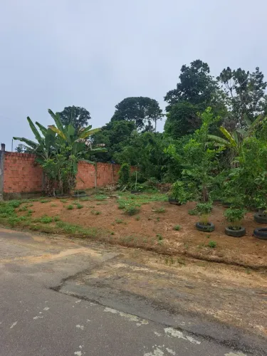 Lotes na Barra do Cetur bairro Tarumã.
