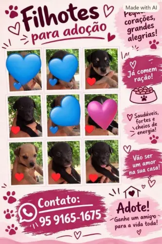 Cachorro