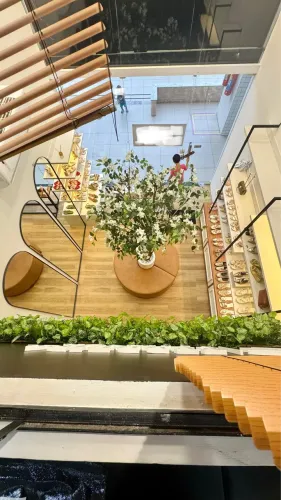 REPASSE DE PONTO COMERCIAL + ESTRUTURA DE LOJA PRONTA PARA INAUGURAR