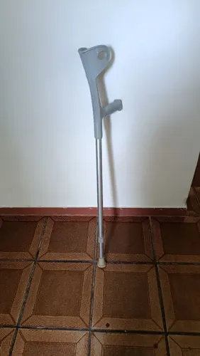Bengala canadense doação 