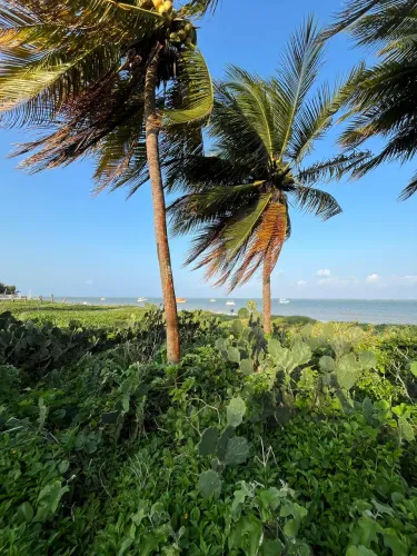 Imóvel para aluguel tem 360 metros quadrados com 5 quartos em Camboinha - Cabedelo - PB