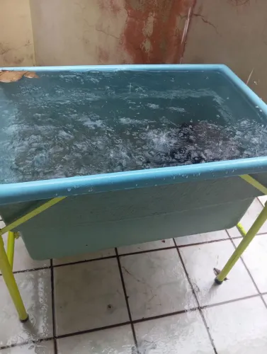 Banheira pet shop 