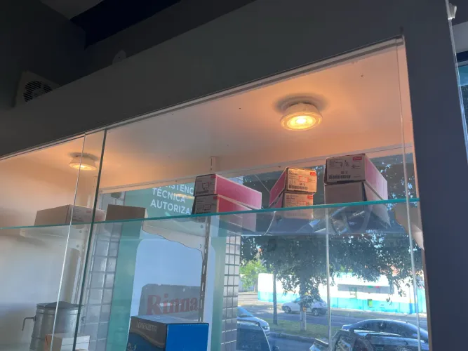 Vitrines de madeira com prateleiras de vidro 