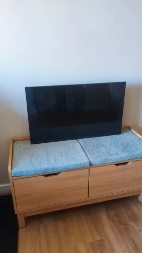 Lote para Conserto ou Peças: TV AOC 32" + Notebook Dell - R$ 200 (Tudo)