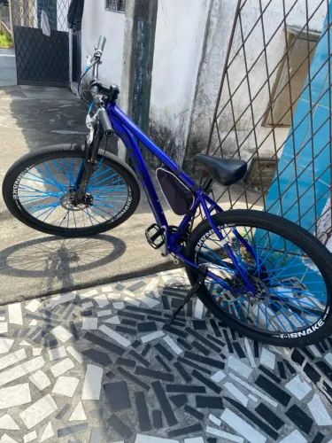 Bicicleta