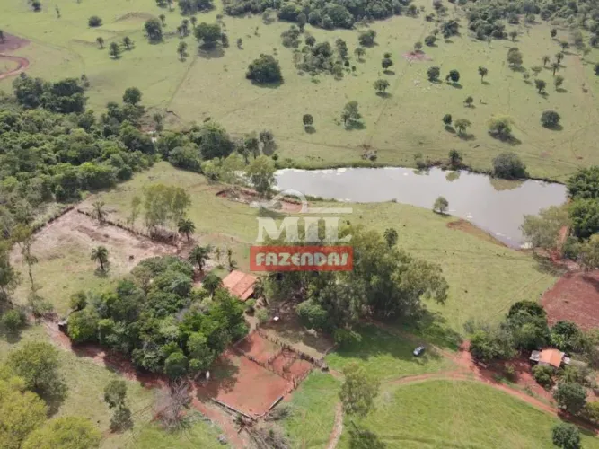 Sítio a venda a 20 minutos de Goiânia. Área total: 9.5 alqueire.