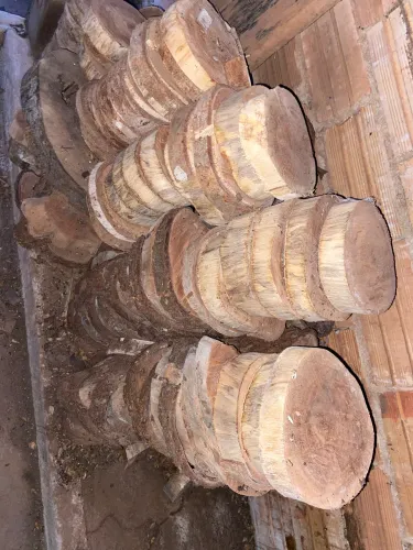 Bolacha de madeiras