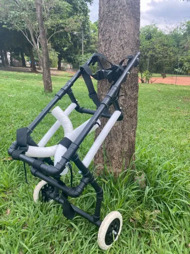 Cadeira de rodas para cães ( Golden Retrivier fêmea)