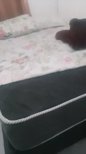 Cama