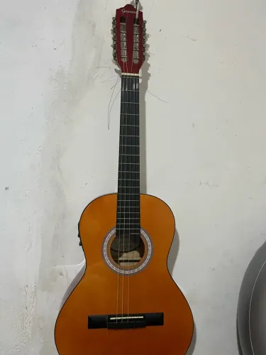 Viola caipira elétrica 