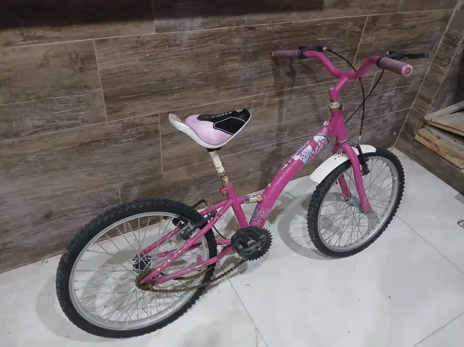 Bicicleta infantil aro 20