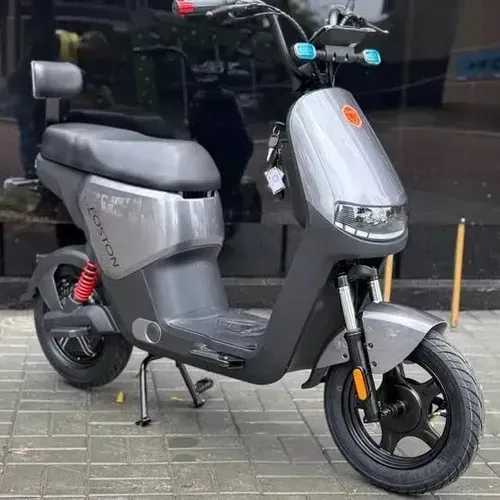 Moto elétrica Foston X15 ( x13 EX)
