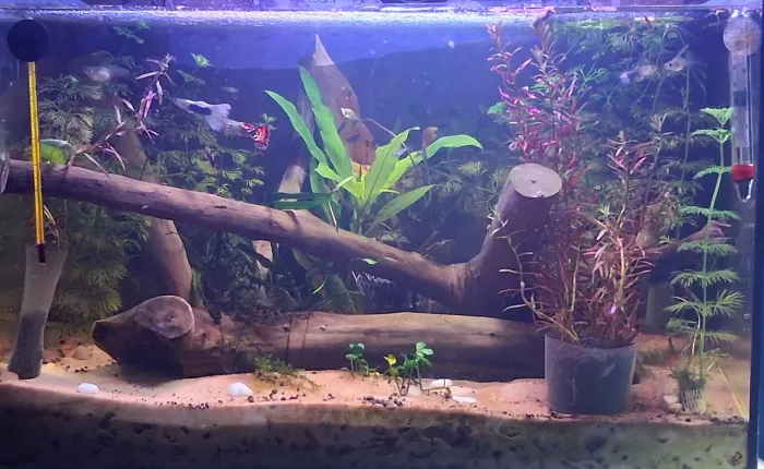 Aquário completo. 33 litros.