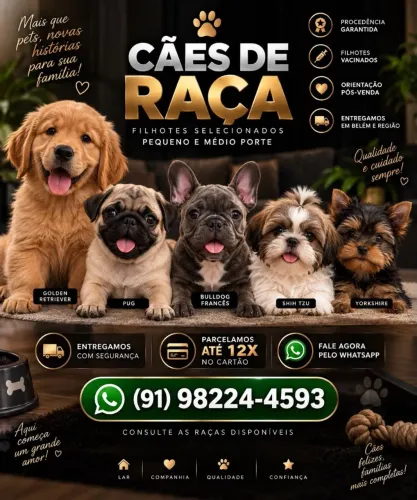 Filhotes de raça fina