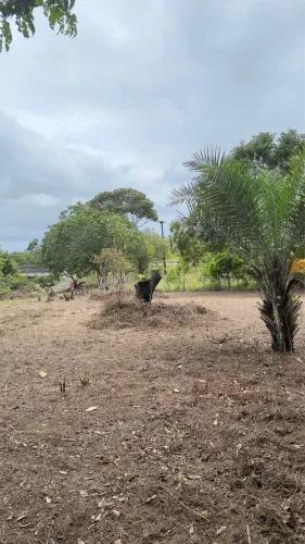 Terreno tipo Sítio Área Rural itanagra BA