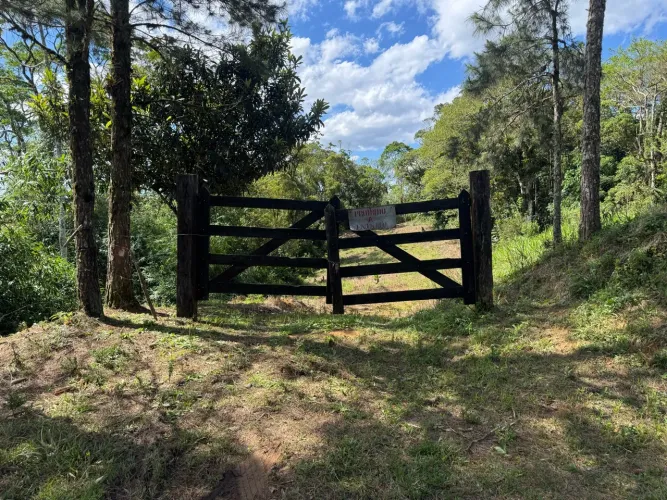 Fazenda para plantio/ agropecuária