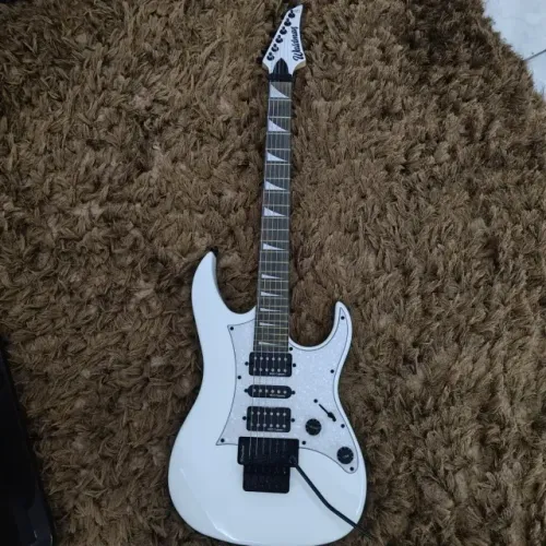 Guitarra Waldman WIG350