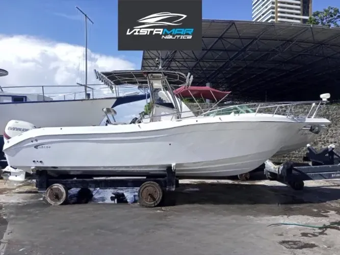 Lancha Fishing 26.5 (Focker, nx, fs, real, phantom, nhd, coral, ventura, triton, azov)