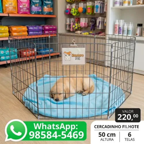Cercadinho para cachorro