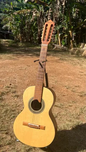 Viola Giannini Raiz, com micro afinação, rastilho e nut de osso, aceito cartão.