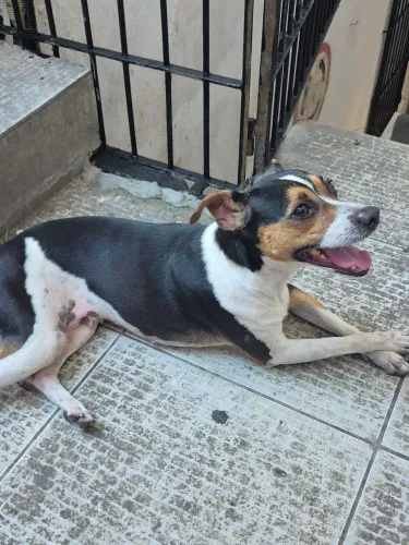 Doação 