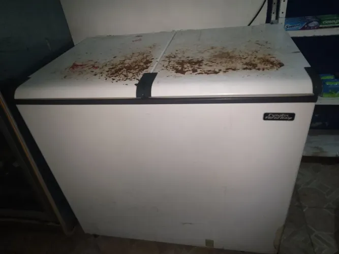 FREEZER 2 PORTAS