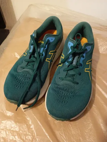 Tênis Asics tam 43