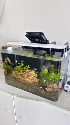 Aquário plantado 40cm curvado 